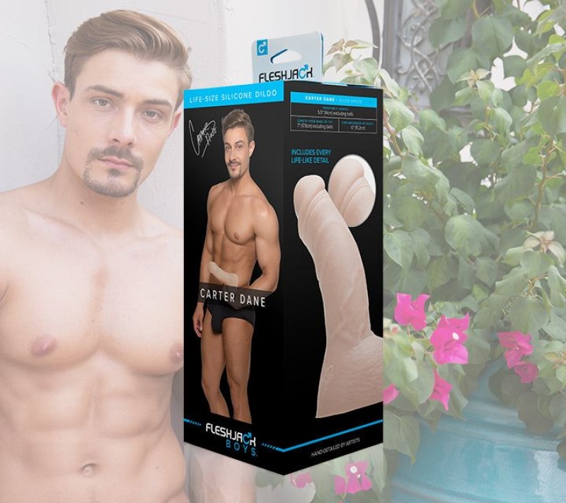 Fleshlight Carter Dane Male Pornstar Replicas | SINGAPORE 746ACUY