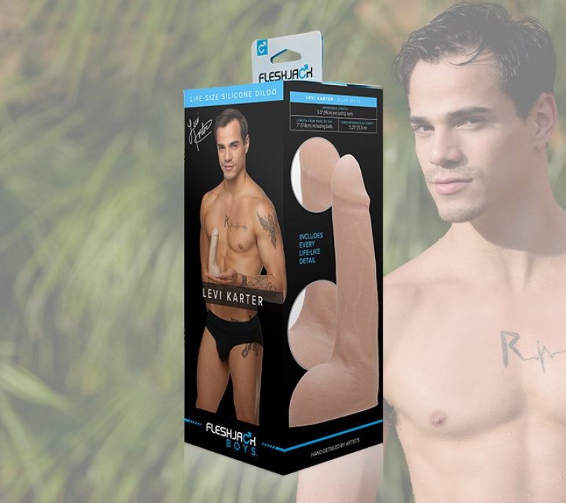 Fleshlight Levi Karter Male Pornstar Replicas | SINGAPORE 518RZDC