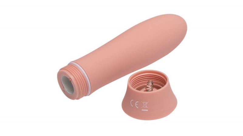 Fleshlight Poppy Bloom Bullet Vibrators | SINGAPORE 872WPYV