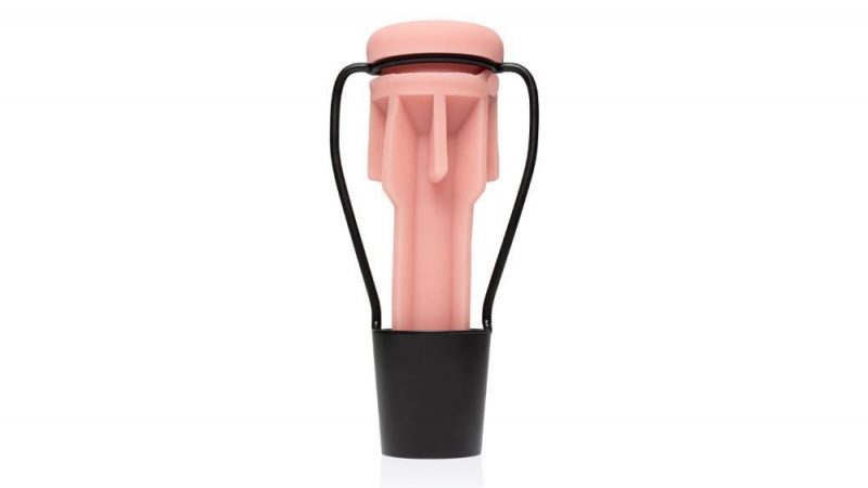 Fleshlight Stand Dry Product Care | SINGAPORE 519KDEQ